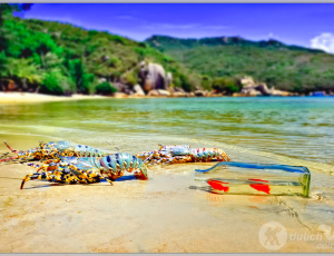 Du Lịch Bụi Ăn Chơi, Ăn Uống Gì Ở Trên Đảo Bình Ba