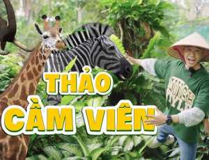 Top Khách Sạn Gần Sở Thú TPHCM Lý Tưởng Cho Du Khách Gia Đình & Du Lịch Nghỉ Dưỡng